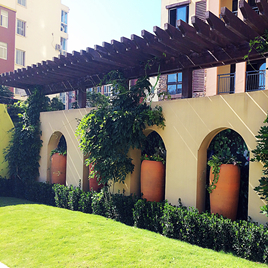 ����ӡ��